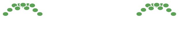 Logo_tramad branca TRAMAD Embalagens de Madeira